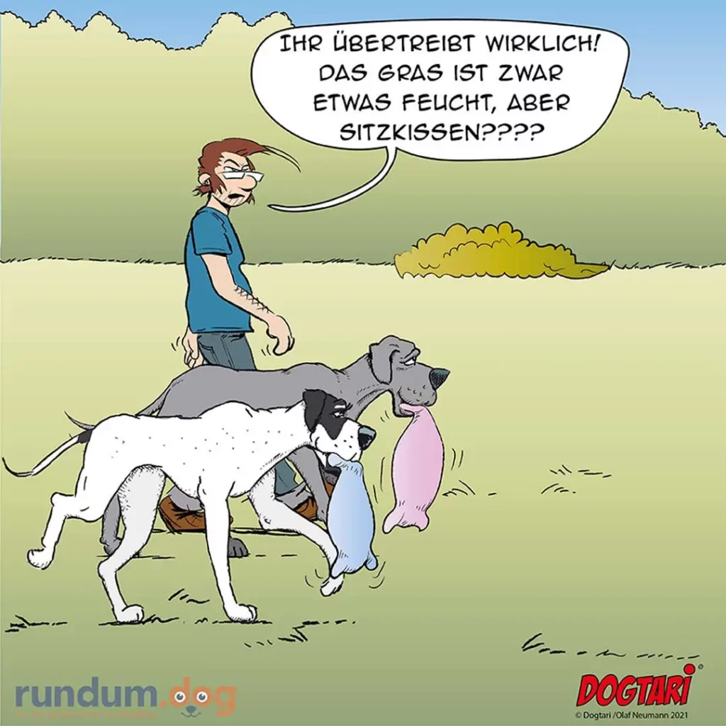 Halter mit zwei Hunden auf Wiese, beide Hunde tragen feuchte Tücher. Halter sagt: Ihr übertreibt wirklich!