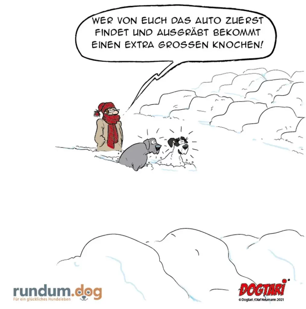Person im Schnee mit roter Mütze und Schal verspricht zwei Hunden einen extra grossen Knochen, wenn sie das Auto finden