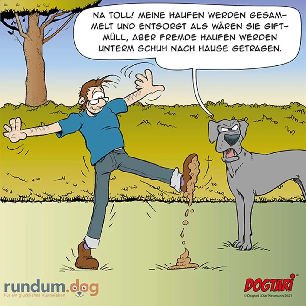 Mann springt panisch weg von Hundehaufen, während grauer Hund neben ihm steht und ihn anschaut