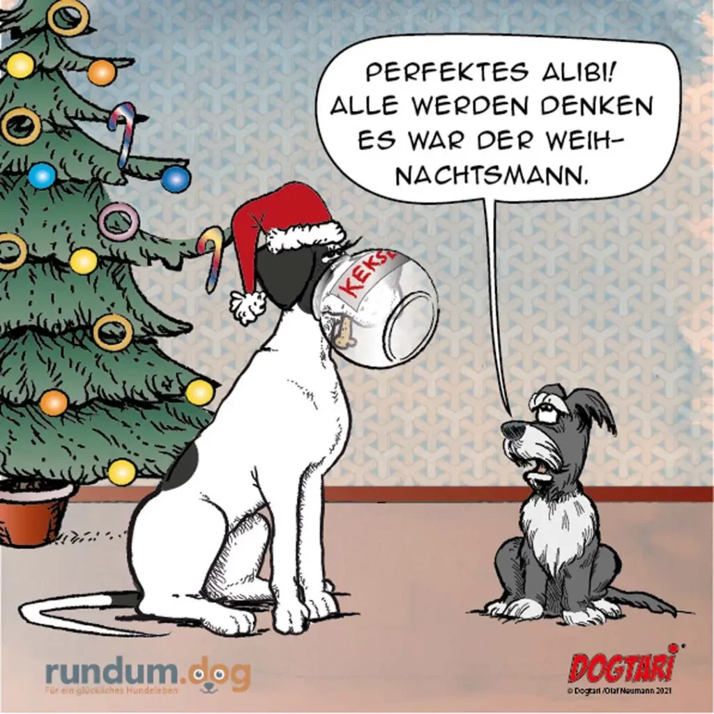 Grosser weisser Hund im Weihnachtskostüm mit Keks-Dose spricht zu kleinerem schwarzweissem Hund vor geschmücktem Weihnachtsbaum