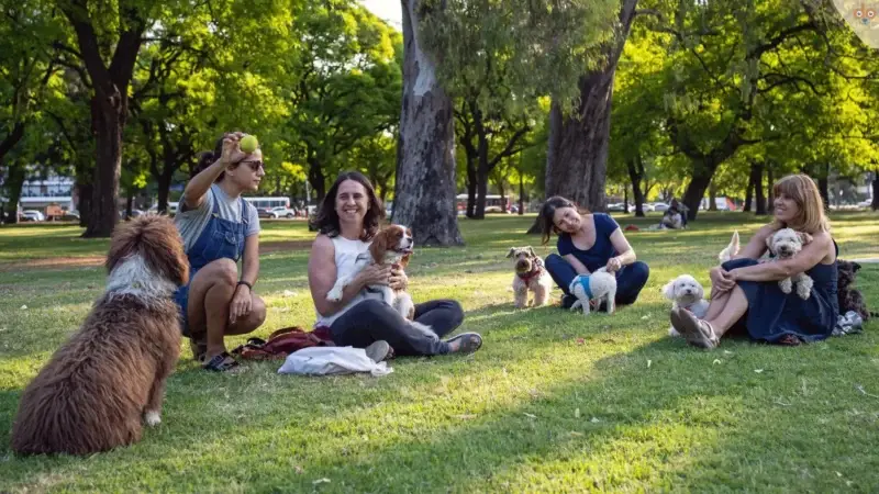 Wichtiges Hundetraining: Entspannen, Ruhe, Pause