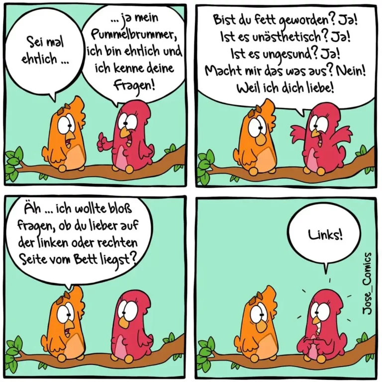 Zwei bunte Vögel auf einem Ast: orangener Vogel fragt roten Vogel, ob er fett geworden ist; roter Vogel antwortet verletzt mit Gründen, warum er ihn trotzdem liebt