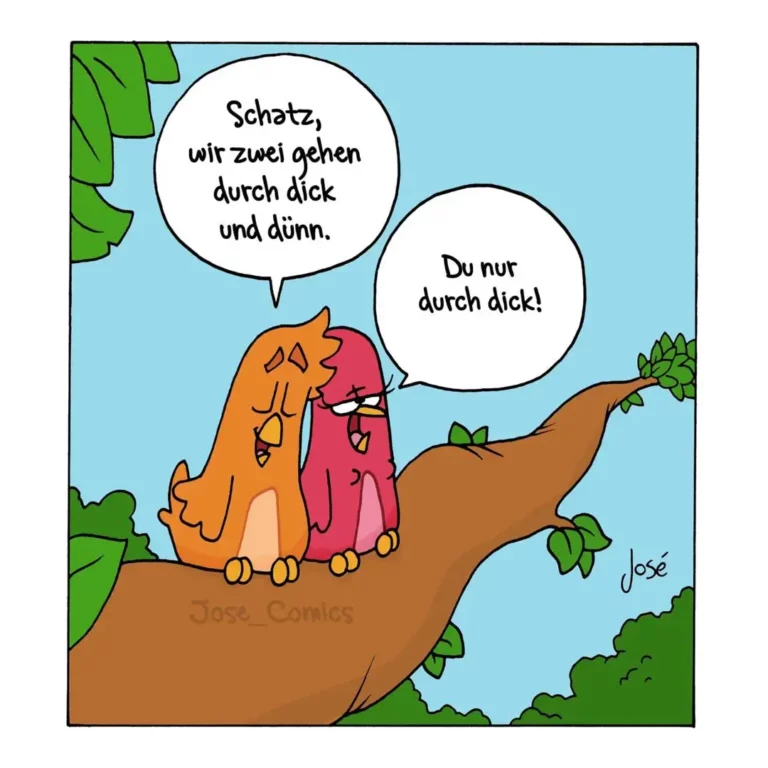 Zwei Vögel sitzen auf einem Ast: ein orangefarbener und ein rosa-roter Vogel. Der orange spricht, der rosa antwortet.