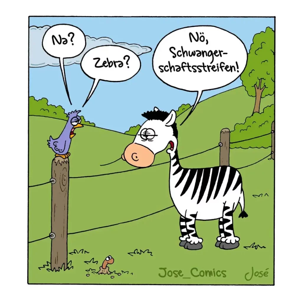 Zebra steht auf einer Weide, ein Vogel sitzt auf einem Pfosten und fragt «Nö? Zebra?», Zebra antwortet gereizt «Nö, Schwangerschaftsstreifen!»