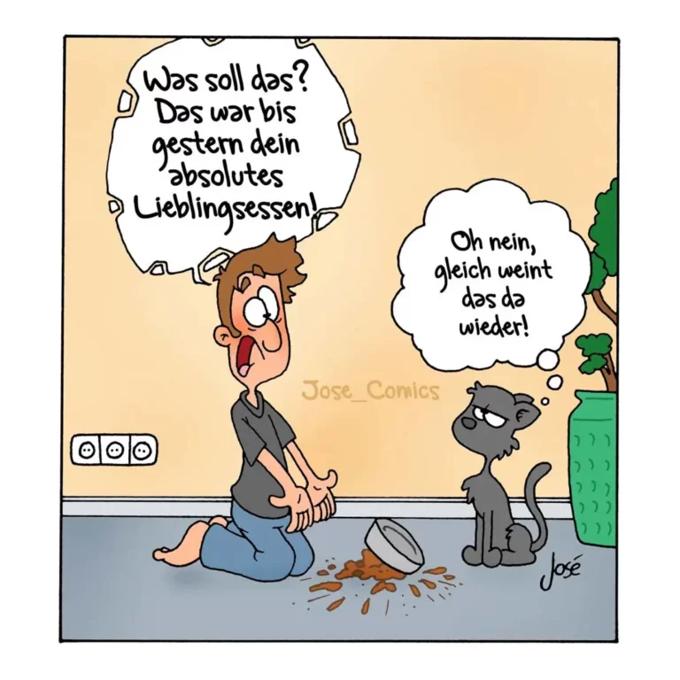 Mann kniet am Boden vor umgekipptem Futternapf mit verstreutem Futter, Hund schaut ungläubig und sagt «Oh nein, gleich weint das da wieder!»