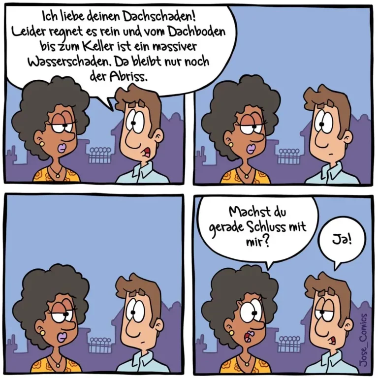 Frau erklärt Mann, dass Regenwasser vom Dachboden bis zum Keller fliesst. Mann antwortet mit Heiratsantrag.