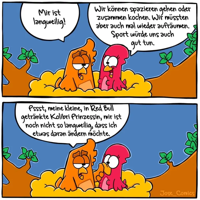 Zwei bunte Vögel sitzen im Sand. Der orange Vogel wirkt niedergeschlagen, der rosa Vogel erklärt enthusiastisch verschiedene Aktivitäten.