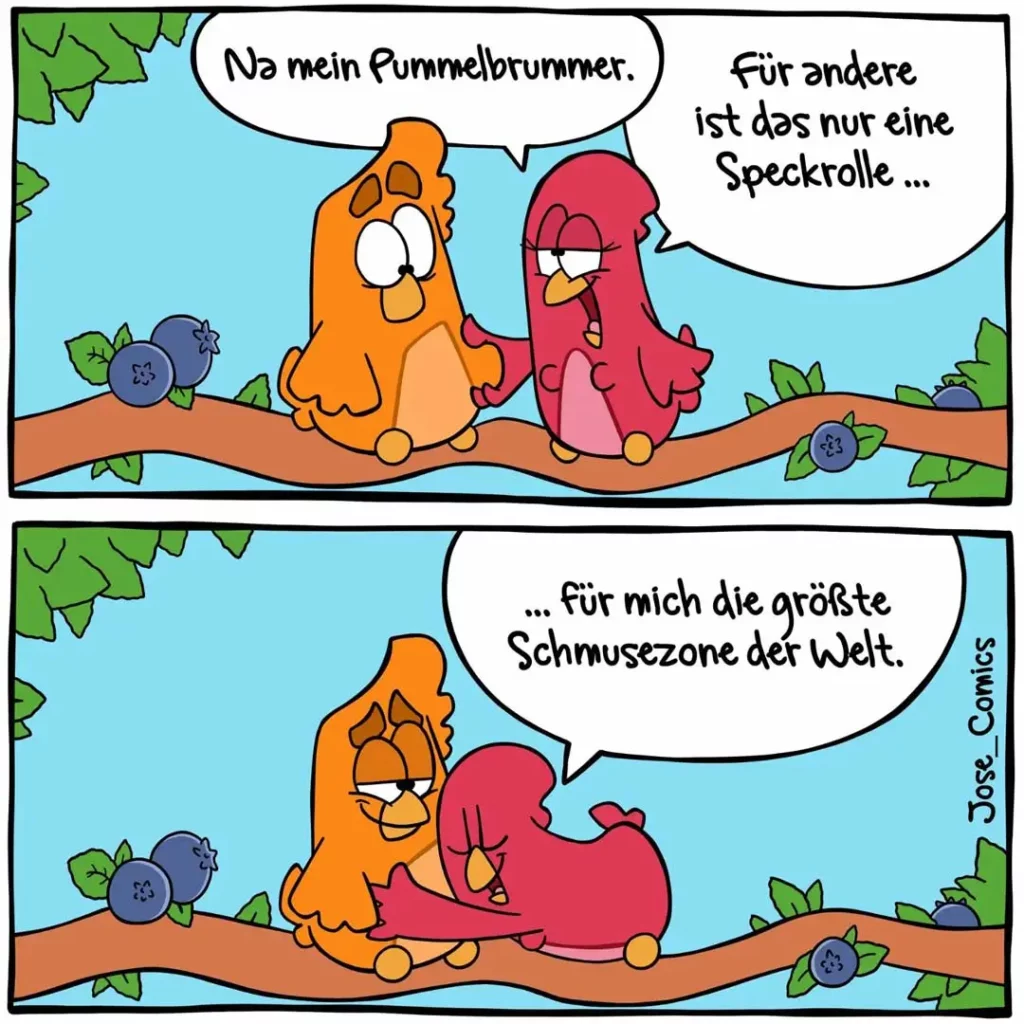 Zwei anthropomorphe Vögel sitzen auf einem Ast. Der orange Vogel sagt «Na mein Pummelbrummer», der rote Vogel antwortet beleidigt.
