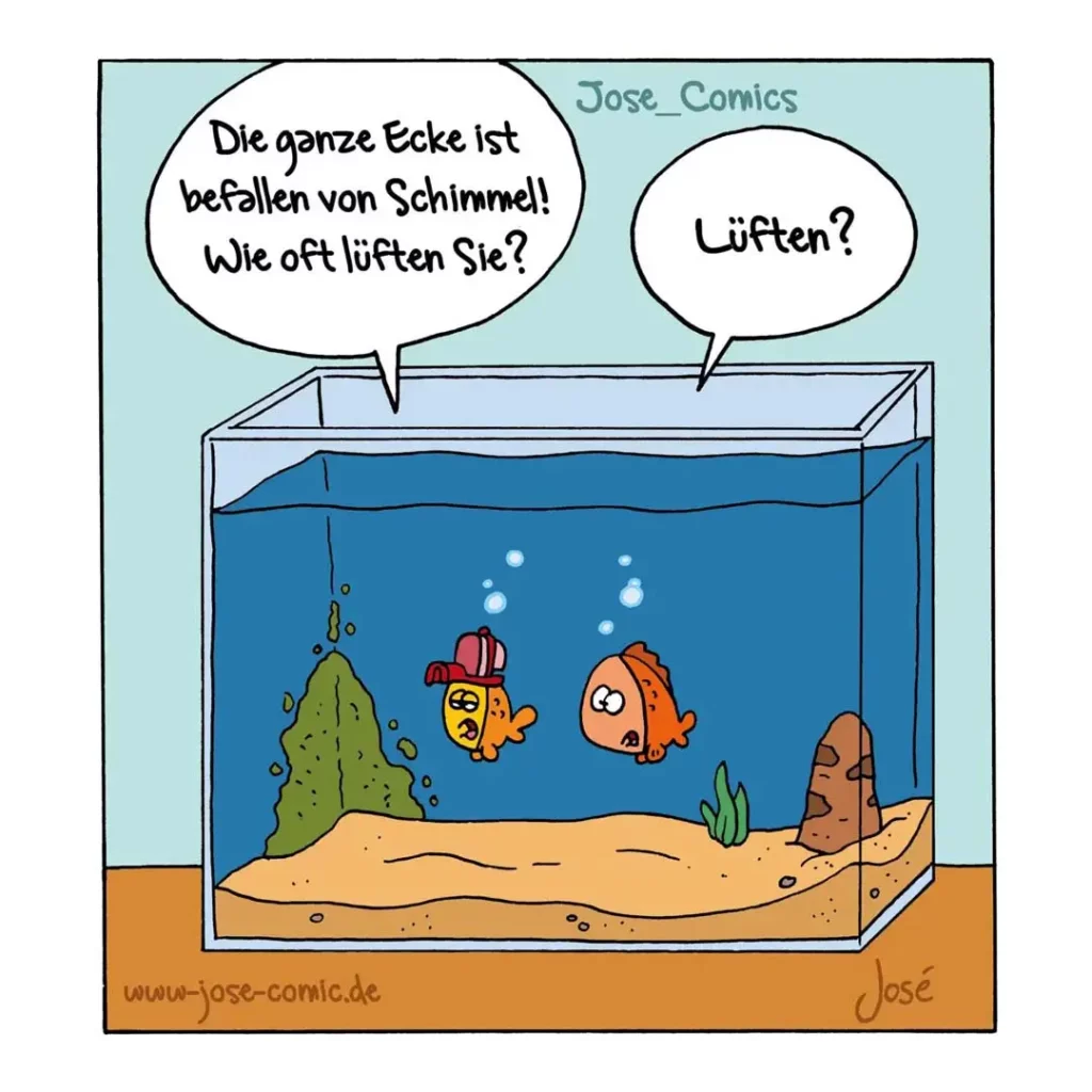 Aquarium mit drei Fischen, einer trägt einen Feuerwehrhelm. Halter fragt besorgt von oben: «Die ganze Ecke ist befallen von Schimmel! Wie oft lüften Sie?» Fisch antwortet verwirrt: «Lüften?»