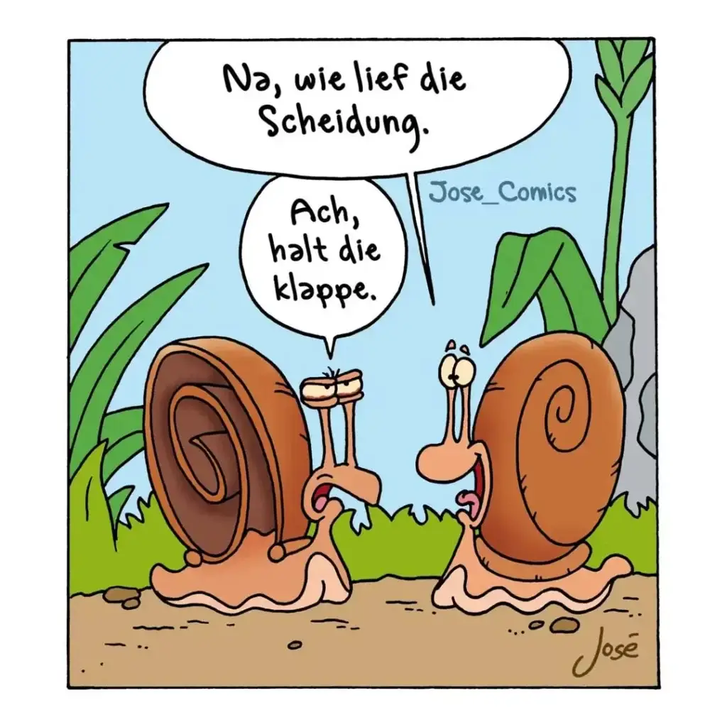 Zwei Schnecken unterhalten sich, eine hält eine Klappe in der Hand. Spruchblase: 'Na, wie lief die Scheidung. Ach, halt die klappe.'
