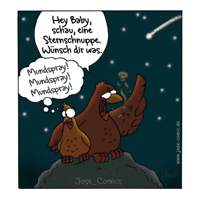 Zwei Vögel auf einem Stein unter Sternenhimmel. Der grössere Vogel deutet auf eine Sternschnuppe und sagt 'Mundspray' dreimal.