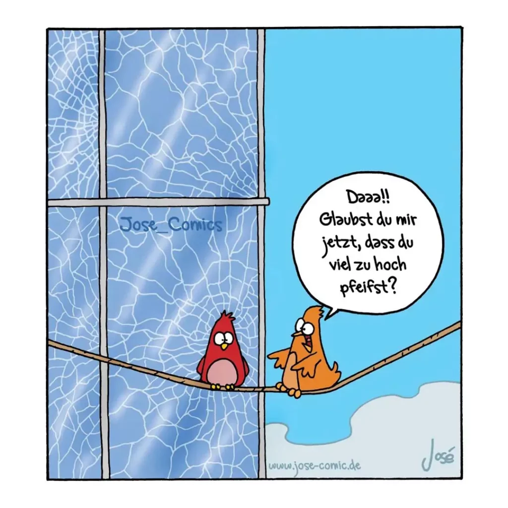 Roter Vogel sitzt auf Ast vor Fenster, orangefarbener Vogel neben ihm sagt: Dooo! Glaubst du mir jetzt, dass du viel zu hoch pfeifst?