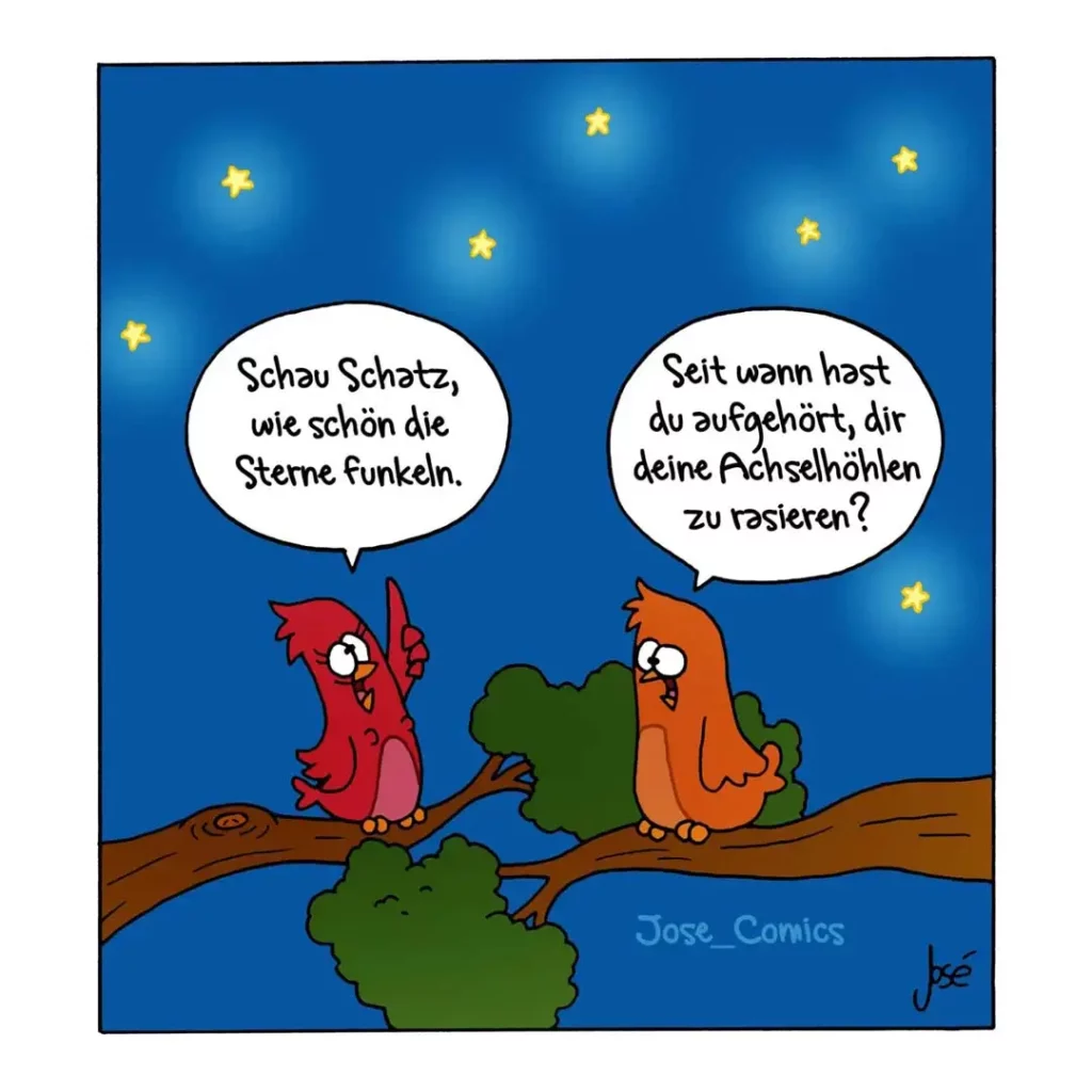 Roter und oranger Vogel sitzen auf Ast unter Sternenhimmel, roter Vogel schaut zu Sternen hoch, oranger antwortet