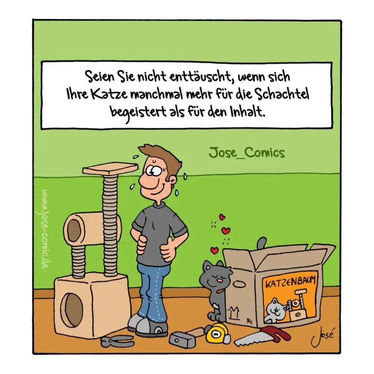 Mann steht neben Kratzbaum und schaut auf Katze in Karton mit Herzen, Spielzeug verstreut am Boden