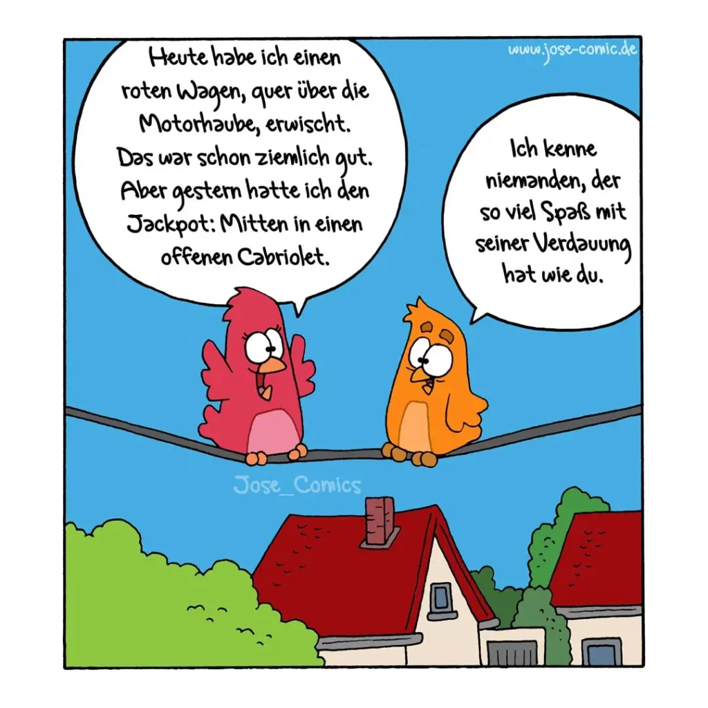 Zwei Vögel sitzen auf einem Draht. Der rote Vogel erzählt dem orangen Vogel von seinem roten Auto, das er heute in einem Cabrio verloren hat.