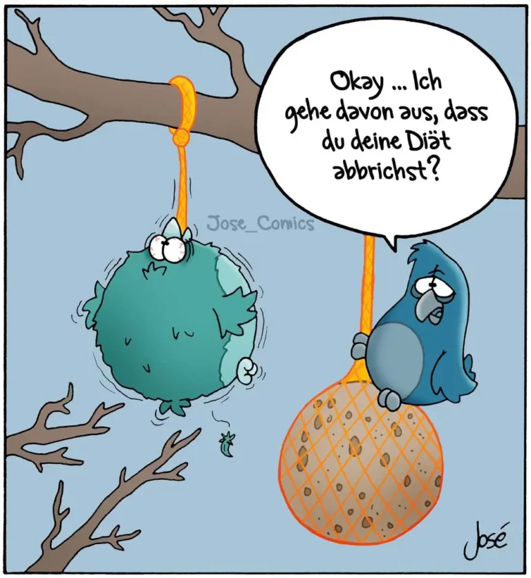 Zwei bunte Vögel hängen an Futterkugeln im Baum, einer fragt den anderen besorgt nach seiner Diät