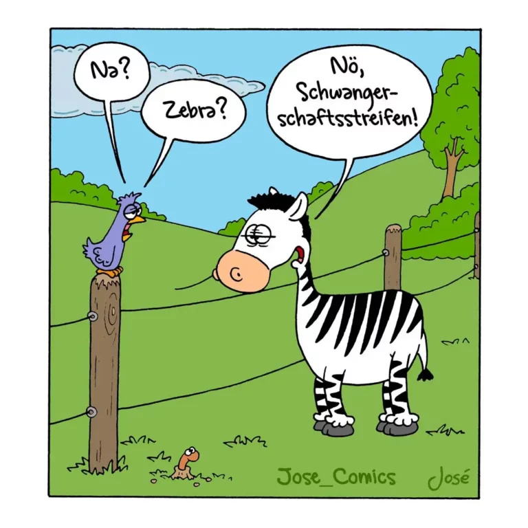 Zebra steht auf einer Weide, ein Vogel sitzt auf einem Pfosten und fragt «Nö? Zebra?», das Zebra antwortet «Nö, Schwangerschaftsstreifen!»