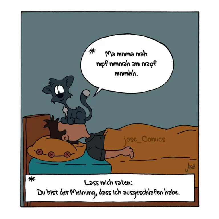 Schwarze Katze sitzt auf schlafendem Hund im Bett und miaut laut, während der Hund mit geschlossenen Augen liegt