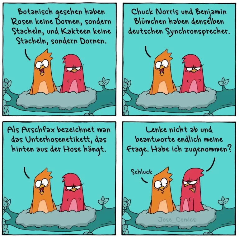 Zwei bunte Vögel (orange und rot) sitzen nebeneinander auf einer Wolke und unterhalten sich in vier Panels über botanische Begriffe und Synchronsprecher