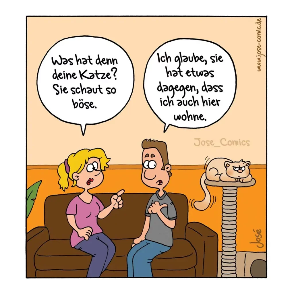 Mann und Frau sitzen auf Sofa, Katze sitzt auf Kratzbaumspitze rechts und schaut böse