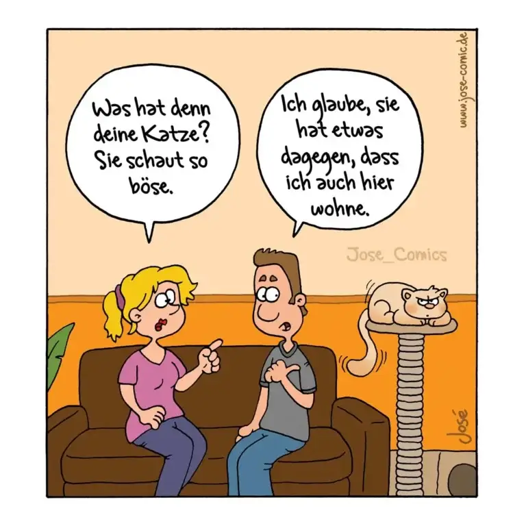 Mann und Frau sitzen auf Sofa, Katze sitzt auf Kratzbaumspitze rechts und schaut böse