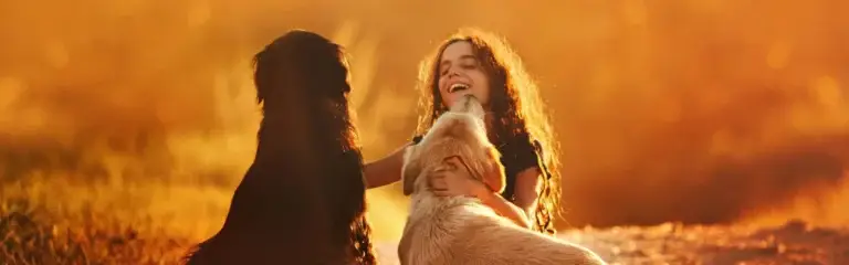 Warum kaufen sich Menschen Hunde?