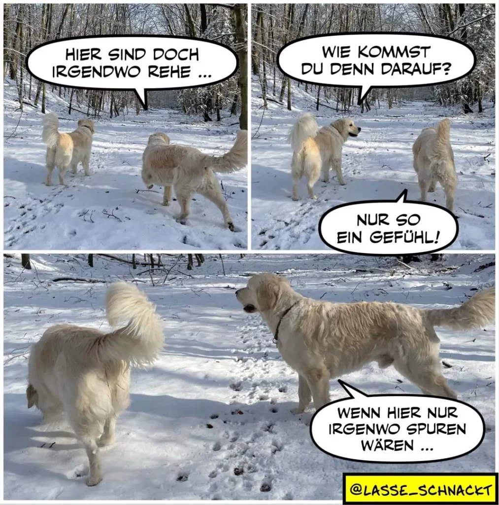 Drei hellbraune Hunde im Schnee: erster Hund sagt «Hier sind doch irgendwo Rehe», zweiter antwortet «Wie kommst du denn darauf», dritter zeigt auf Hufe-Spuren im Schnee und sagt «Nur so ein Gefühl»