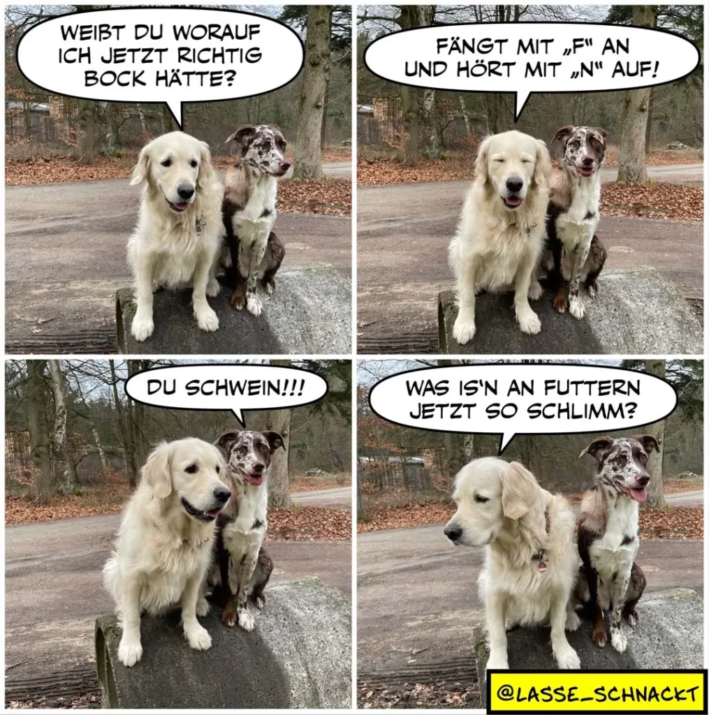 Zwei Hunde sitzen nebeneinander. Der weisse Hund fragt den braunen nach Kommandos. Im dritten Panel beschimpft der braune Hund den weissen, im vierten fragt dieser, was mit dem Futter nicht stimmt.
