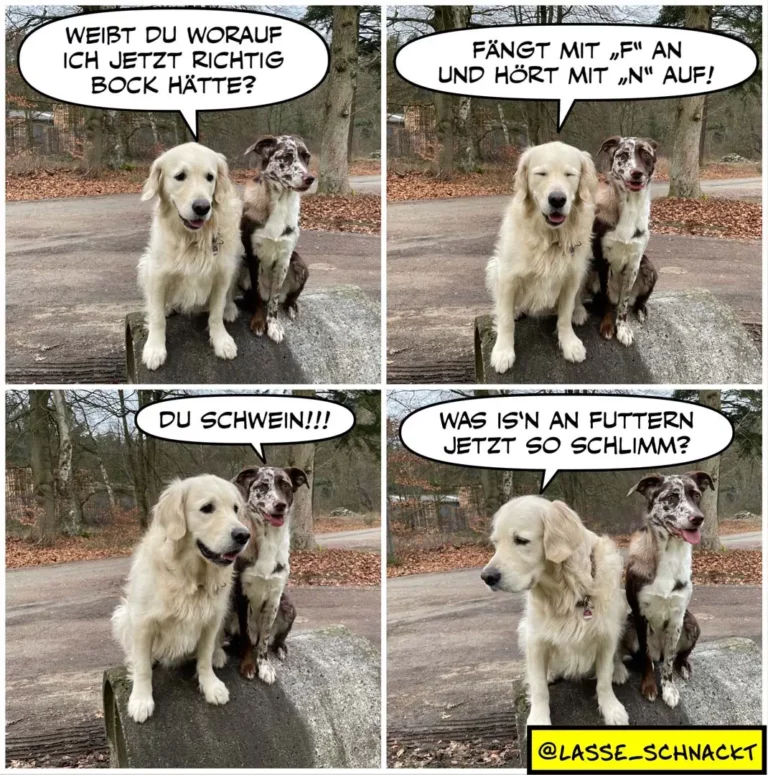 Zwei Hunde sitzen nebeneinander. Der weisse Hund fragt den braunen nach Kommandos. Im dritten Panel beschimpft der braune Hund den weissen, im vierten fragt dieser, was mit dem Futter nicht stimmt.
