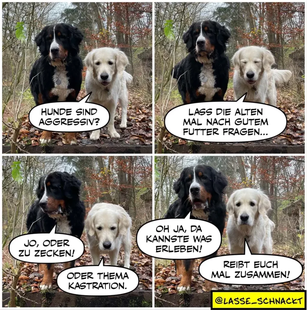 Schwarzer Hund mit weissem Hund im Wald. Panel 1-3: Dialog über Aggression und Futter. Panel 4: Schwarzer Hund lacht.