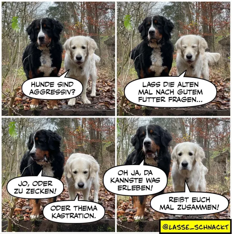 Schwarzer Hund mit weissem Hund im Wald. Panel 1-3: Dialog über Aggression und Futter. Panel 4: Schwarzer Hund lacht.