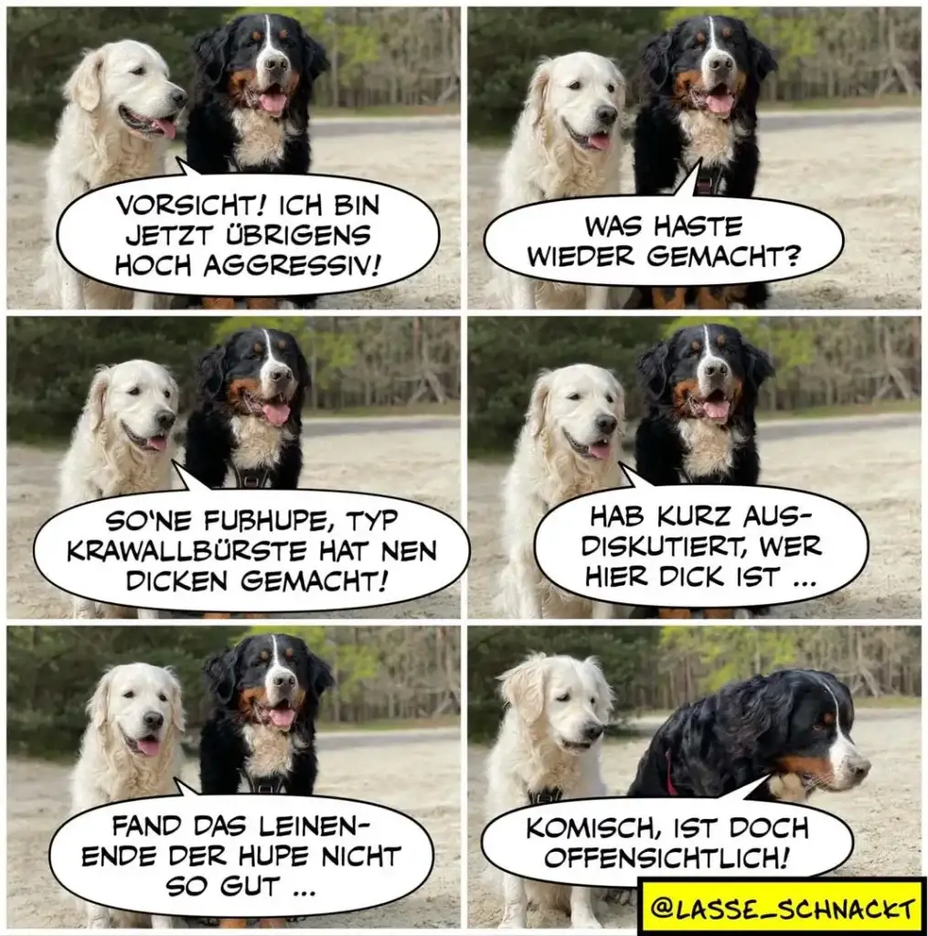 Weisser und schwarzer Hund unterhalten sich: Der weisse Hund behauptet, der schwarze sei aggressiv, der schwarze widerlegt das mit Beispielen und endet beleidigt