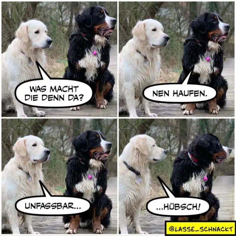 Weisser Hund fragt schwarzen Hund «Was macht die denn da?», schwarzer Hund antwortet «Nen haufen», weisser Hund sagt «Unfassbar», schwarzer Hund ruft «...Hübsch!»