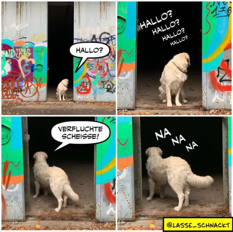 Weisser Hund steht in einer Tordurchfahrt mit buntem Graffiti. Vier Panel-Sequenz: Hund ruft 'Hallo?', wiederholt 'Hallo?' mehrmals, antwortet sich selbst 'Verflucht Scheisse!' und singt 'Na na na'