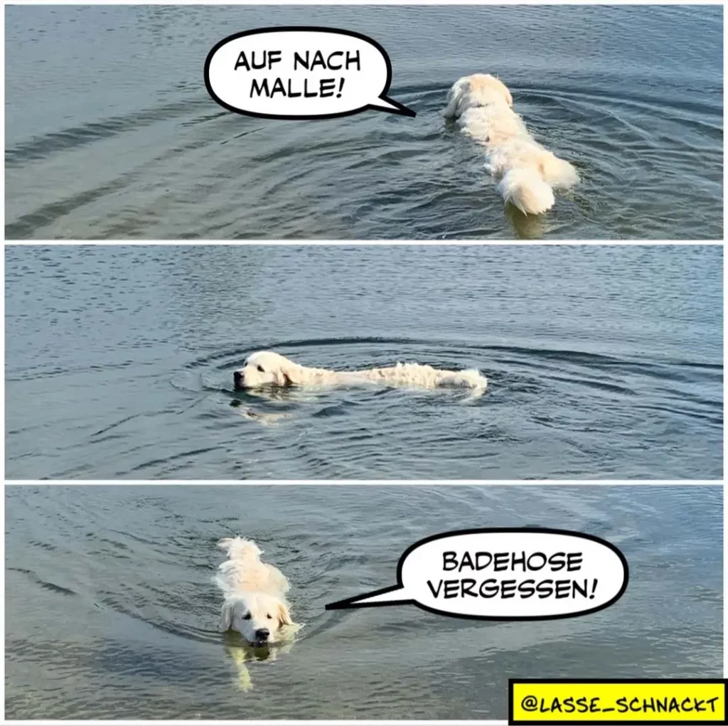 Weisser Hund im Wasser ruft «Auf nach Malle!», schwimmt dann horizontal wie eine Badehose davon und sagt «Badehose vergessen!»