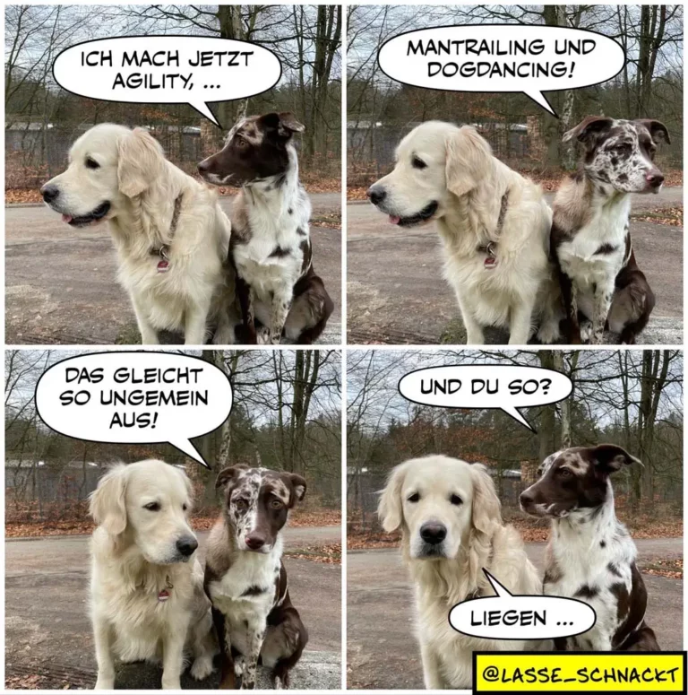 Zwei Hunde nebeneinander: weisser Labrador und brauner gefleckter Hund. Im vierpanelen Comic unterhalten sie sich über Trainingsaktivitäten.