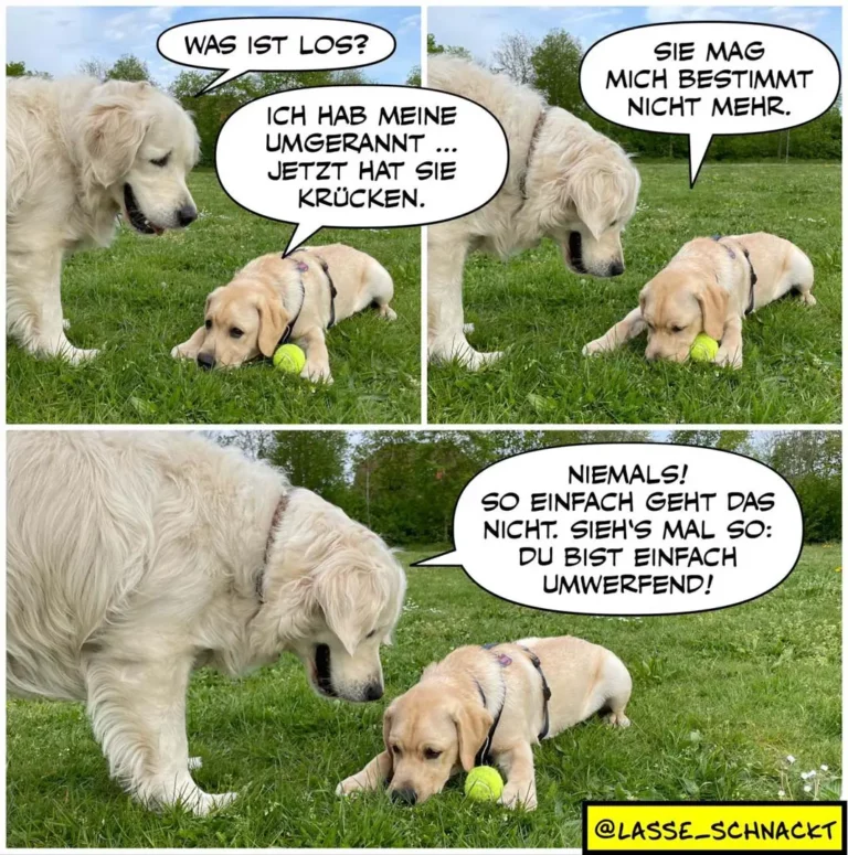 Grosser weisser Hund fragt kleinen beigen Hund, was los ist. Kleiner Hund mit Ball antwortet, Mutter mag ihn nicht mehr. Grosser Hund erklärt dem kleinen, er sei einfach umwerfend.