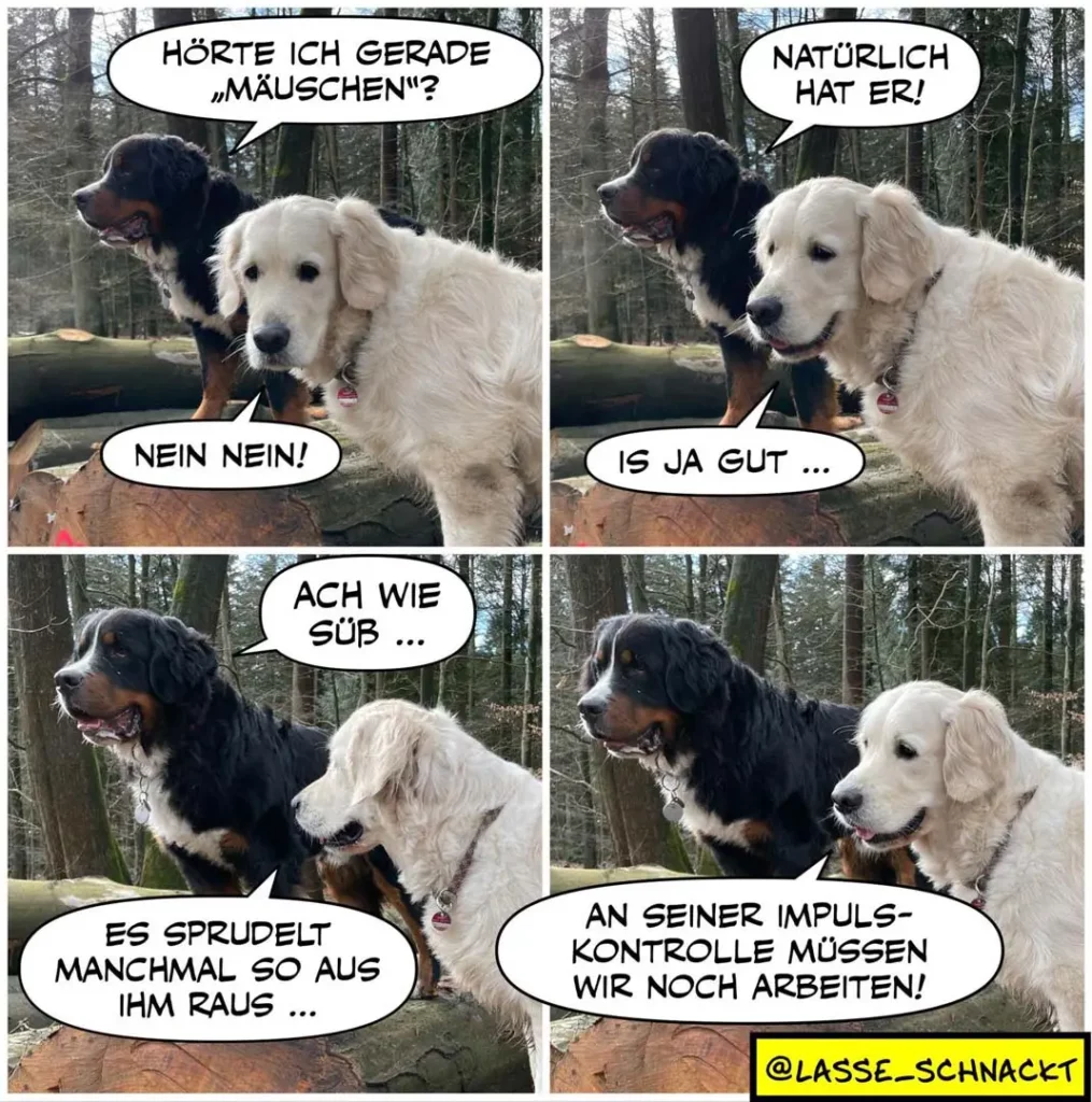Zwei Hunde im Wald: schwarzer und weisser Hund im Dialog. Schwarzer Hund fragt, ob der weisse gerade 'Mäuschen' gehört hat, weisser verneint zunächst, gibt dann nach.