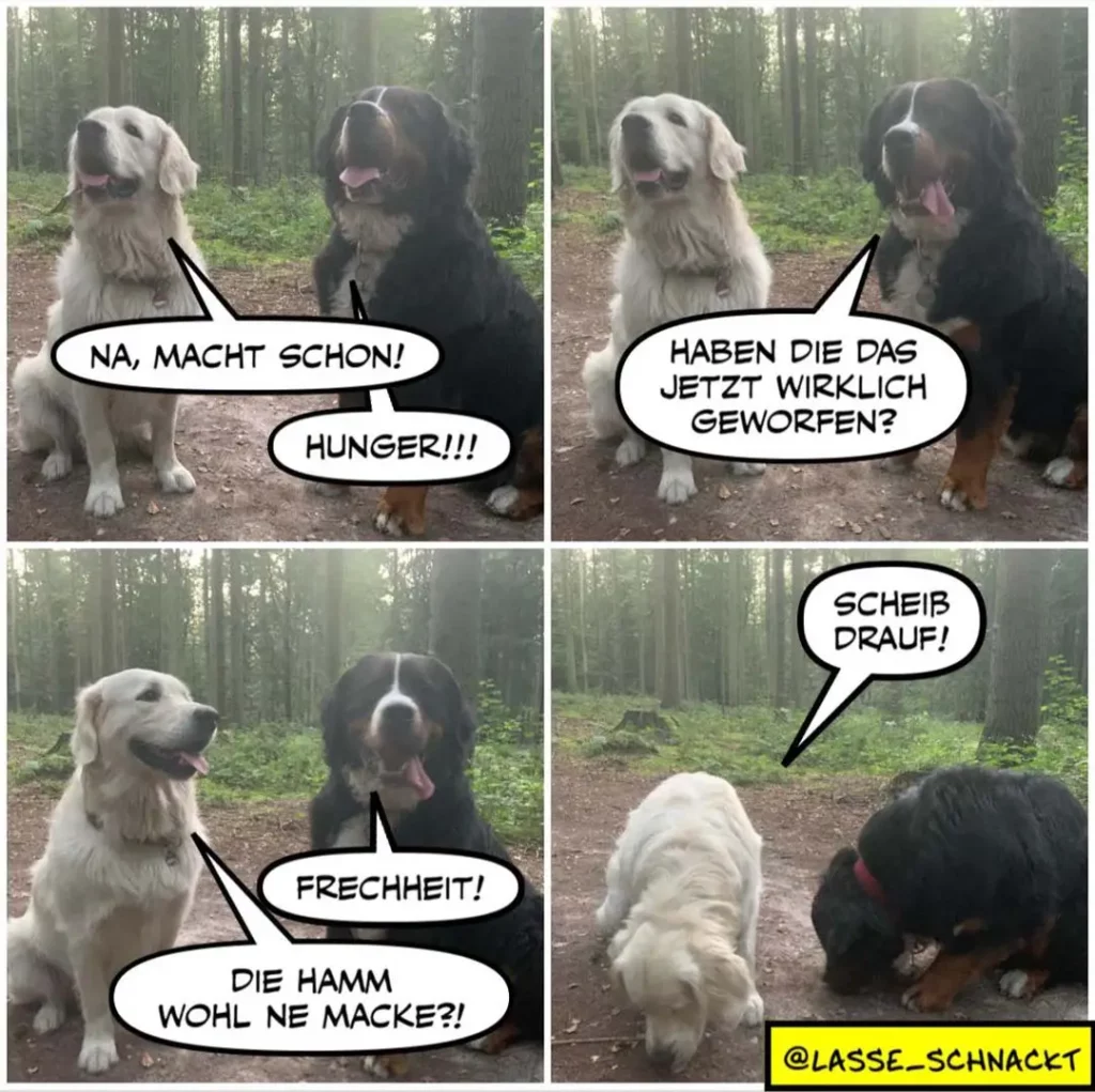 Vier-Panel-Comic mit zwei Hunden im Wald: weisser Golden Retriever und schwarzer Hund unterhalten sich über Hunger, Gewöhnung und Frechheit