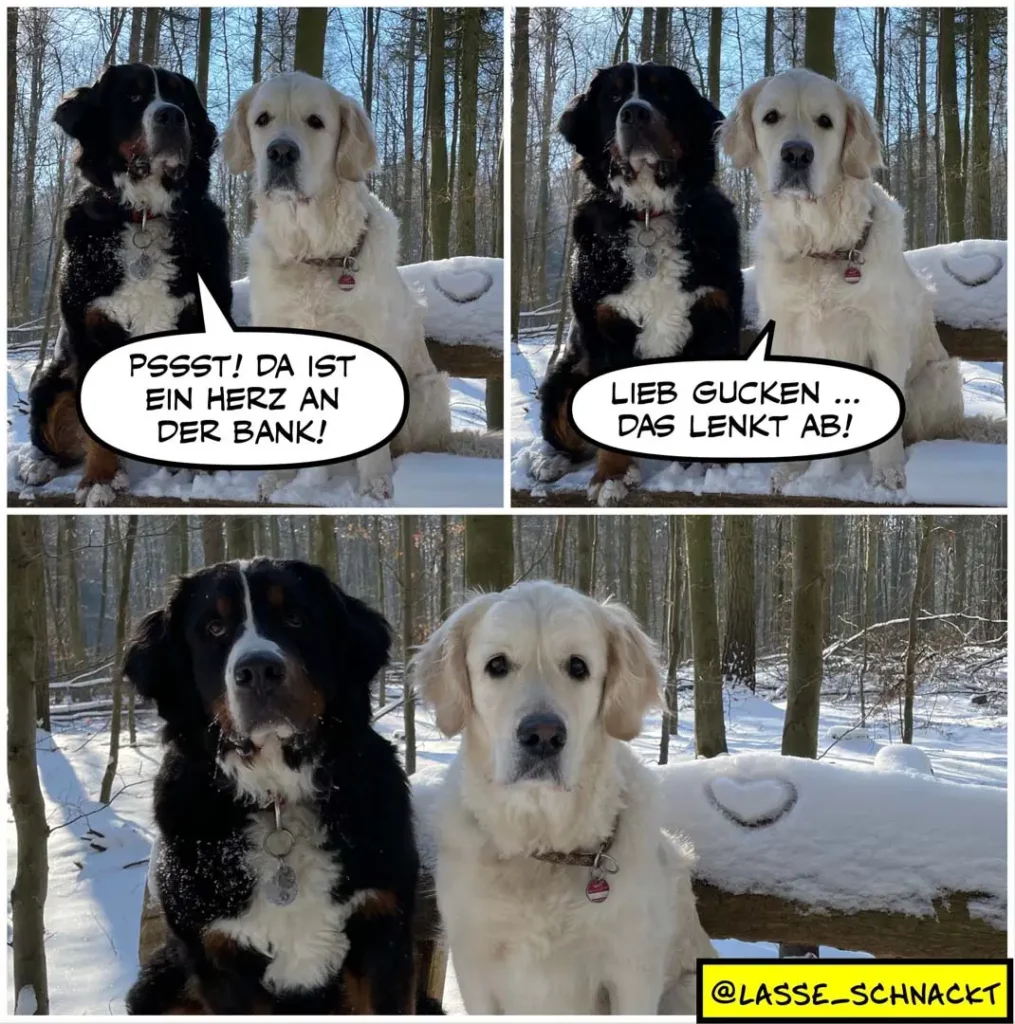 Zwei Hunde sitzen im Schnee vor Waldkulisse. Schwarzer Hund zu weissem Hund: «Pssst! Da ist ein Herz an der Bank!» Weisser Hund antwortet: «Lieb Gucken ... das lenkt ab!»