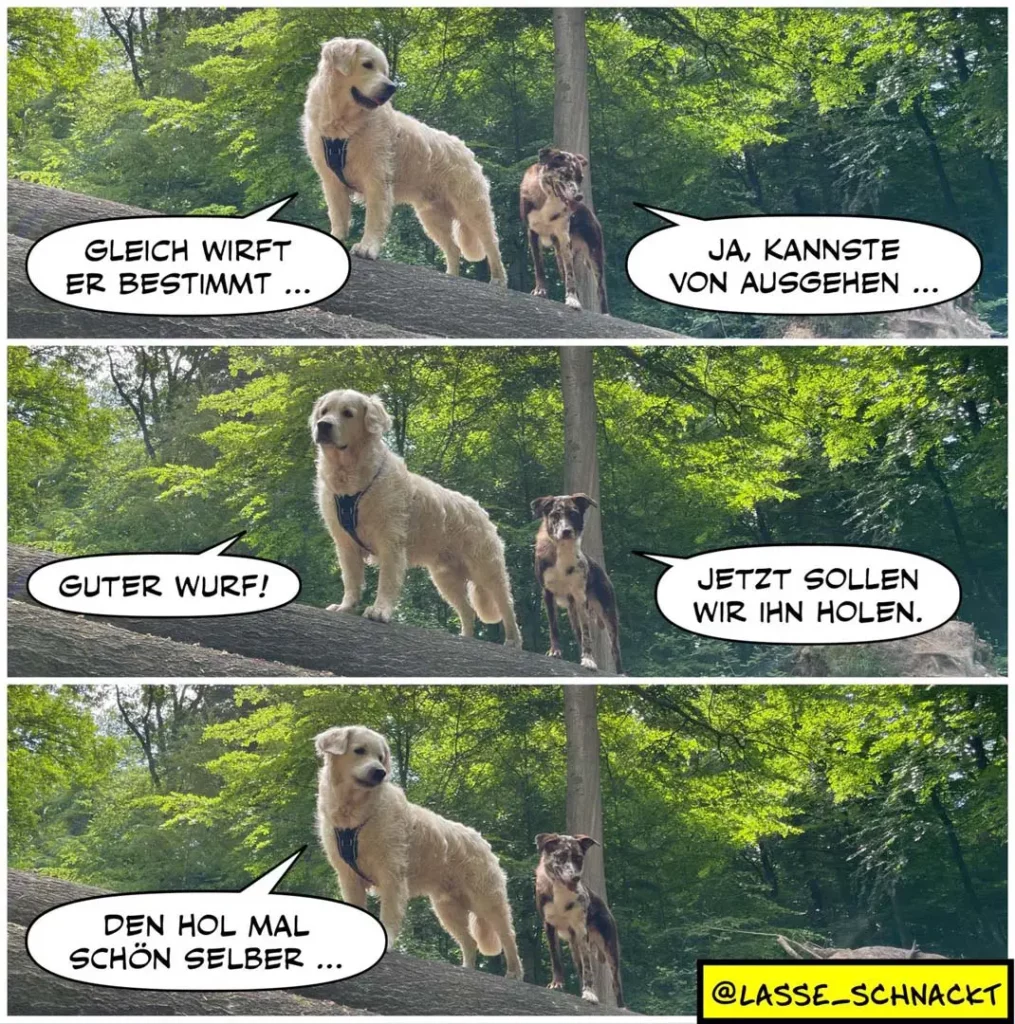Weisser Labrador und kleinerer brauner Hund auf Baumstamm im Wald. Labrador sagt «Gleich wirft er bestimmt…», kleiner Hund antwortet «Ja, kannste von ausgehen…» Dann «Guter Wurf!» und «Jetzt sollen wir ihn holen.» Im letzten Panel sagt der Labrador «Den hol mal schön selber…»