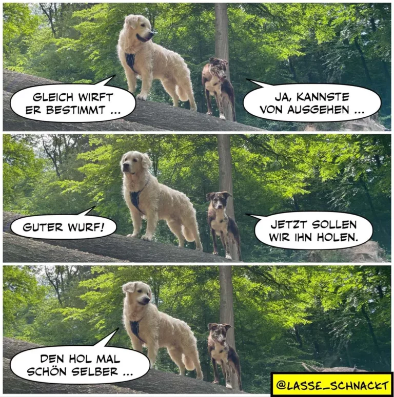 Weisser Labrador und kleinerer brauner Hund auf Baumstamm im Wald. Labrador sagt «Gleich wirft er bestimmt…», kleiner Hund antwortet «Ja, kannste von ausgehen…» Dann «Guter Wurf!» und «Jetzt sollen wir ihn holen.» Im letzten Panel sagt der Labrador «Den hol mal schön selber…»