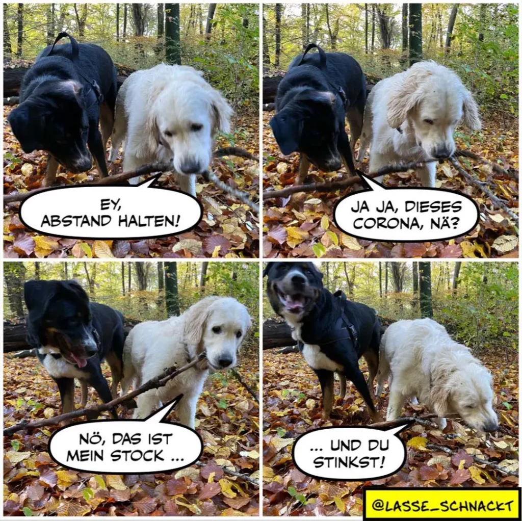 Schwarzer und weisser Hund im Wald. Schwarzer Hund sagt dem weissen: «Ey, Abstand halten!» Weisser antwortet: «Ja ja, dieses Corona, nä?» Im dritten Panel sagt der schwarze: «Nö, das ist mein Stock...» Im vierten: «...und du stinkst!»