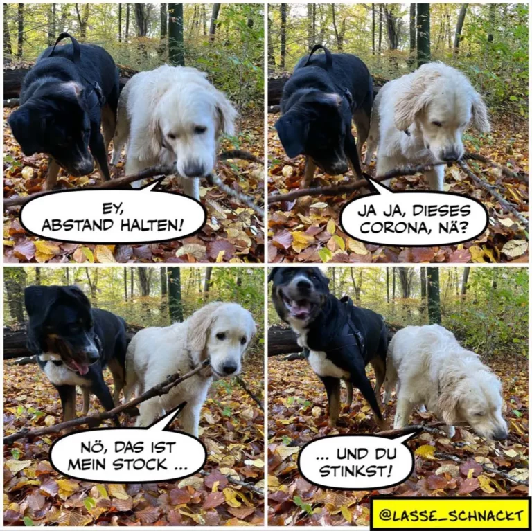 Schwarzer und weisser Hund im Wald. Schwarzer Hund sagt dem weissen: «Ey, Abstand halten!» Weisser antwortet: «Ja ja, dieses Corona, nä?» Im dritten Panel sagt der schwarze: «Nö, das ist mein Stock...» Im vierten: «...und du stinkst!»