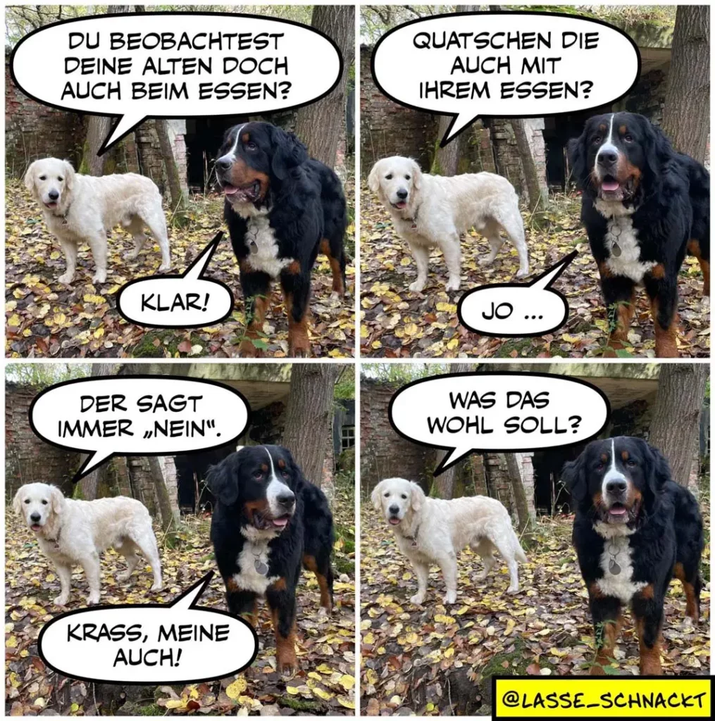 Zwei Hunde im Wald: weisser Hund fragt schwarzen Hund, ob er seinen älteren Hund beim Essen beobachtet. Schwarzer Hund antwortet zögernd.