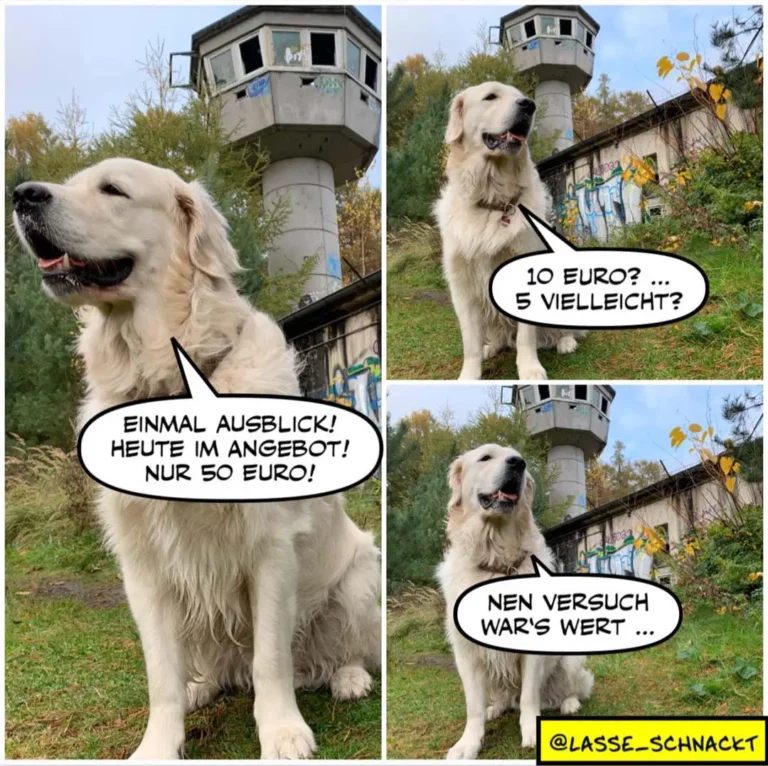 Weisser Hund vor verlassenem Betonturm. Panel 1: Hund verkündet Ausblick für 50 Euro. Panel 2: Hund wird auf Preis angesprochen. Panel 3: Hund zuckt mit den Schultern.