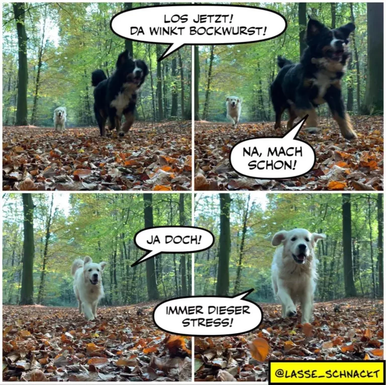 Vier-Panel-Comic: Zwei schwarze Hunde jagen im Wald einen weissen Hund. Der weisse Hund ruft «Ja doch!» während er flieht und beschwert sich über «immer dieser Stress».