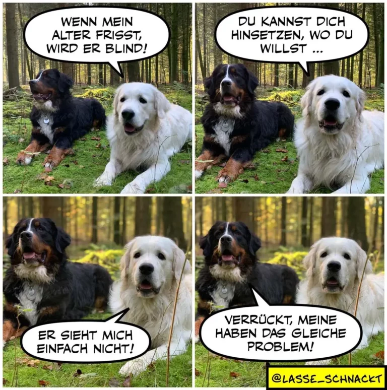 Zwei Hunde im Wald: schwarzer und weisser Hund im Dialog. Der schwarze Hund spricht, der weisse Hund antwortet zustimmend.