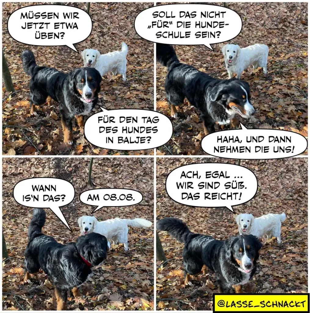 Zwei Hunde unterhalten sich: schwarzer Hund fragt weissen Hund, ob sie üben müssen. Schwarzer Hund schlägt vor, es sei kein Unterricht für die Hundeschule. Im letzten Panel stimmt der schwarze Hund zu und sagt: 'Ach, egal... wir sind süss. Das reicht!'