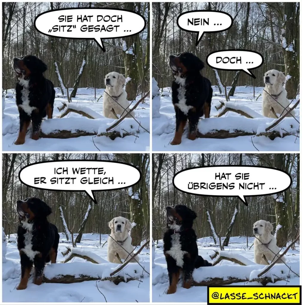 Schwarzer Hund sitzt im Schnee, weisser Hund steht daneben. Dialog über Sitz-Befehl und Ungeduld.